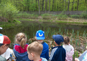 Dzieci z grupy Motylków poznają mieszkańców stawu na terenie Konnej Sekcji Straży Miejskiej.