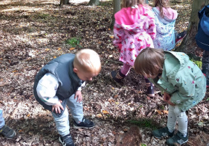 Dzieci szukają śladów zwierząt w lesie.