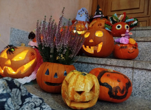 Najśmieszniejsza dynia