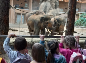 Mali tropiciele zwierząt