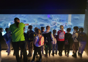 Dzieci obserwują ryby w akwarium.