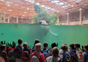 Dzieci oglądają kąpiel słoni w basenie.