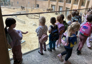 Dzieci oglądają słonie na wybiegu.