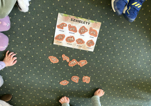 Zabawa - dopasowywanie szkieletów dinozaurów do obrazków.