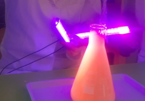 Pani prowadząca wlewa białko jajka do szklanego naczynia.