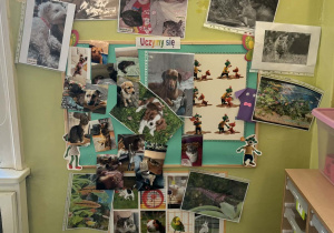 Kącik pupila w grupie II.