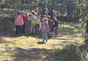 Grupa Biedronek w lesie.