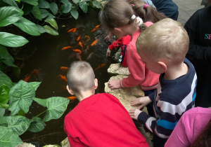 Dzieci oglądają rybki